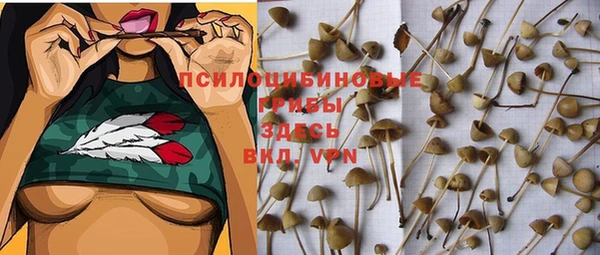 таблы Ладушкин