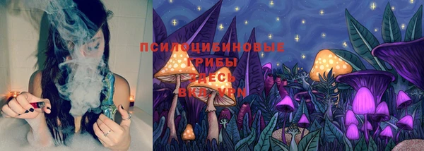 таблы Ладушкин