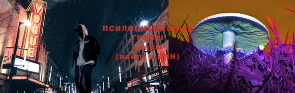 таблы Ладушкин