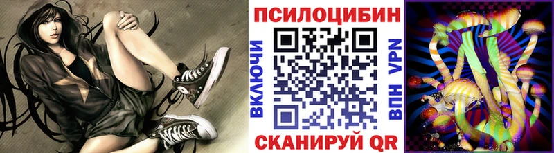KRAKEN ССЫЛКА  Ачхой-Мартан  darknet состав  Псилоцибиновые грибы Psilocybine cubensis 