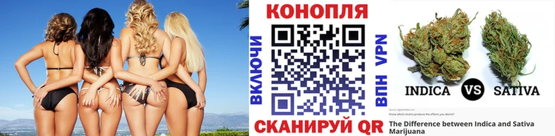 Канабис AK-47  закладка  Ачхой-Мартан 